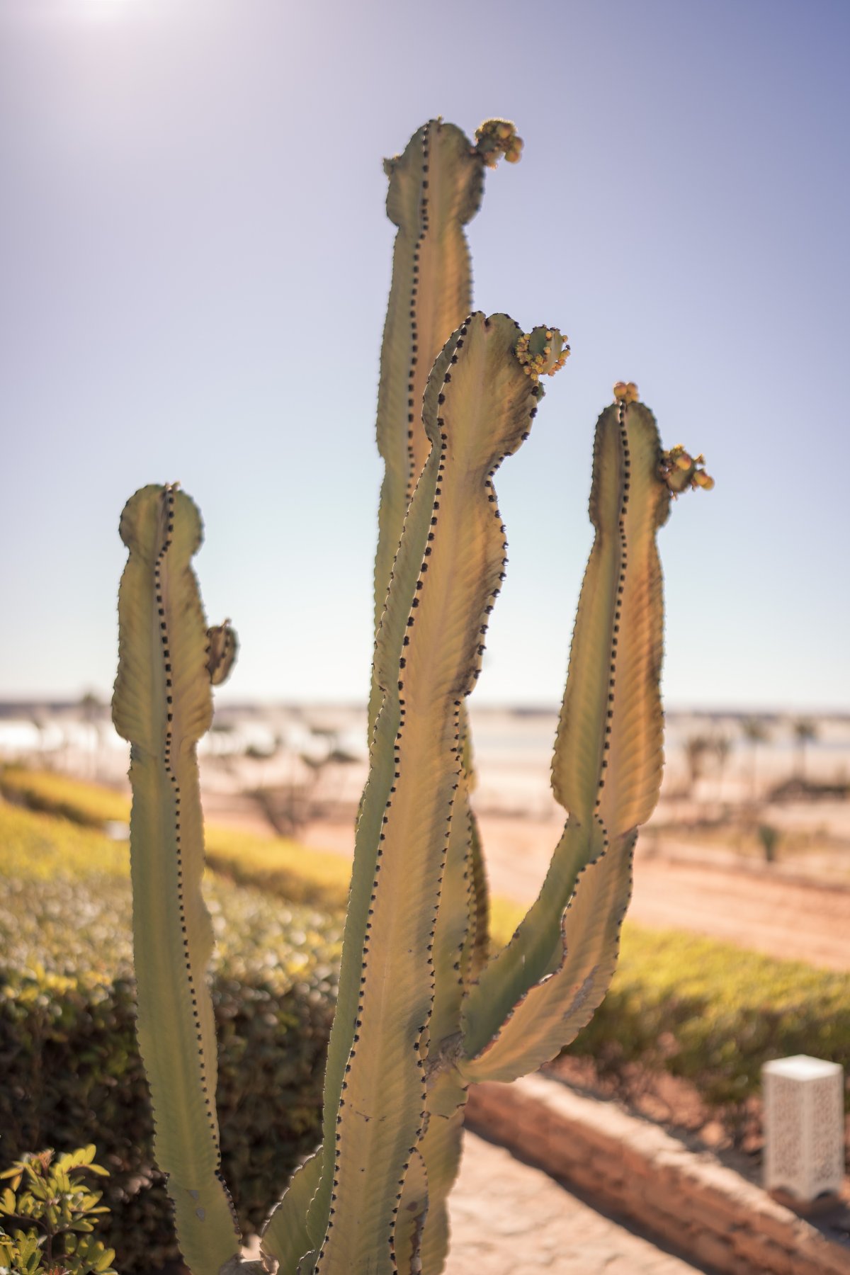photographe Tahiti, vidéaste Tahiti, photographe Polynésie française